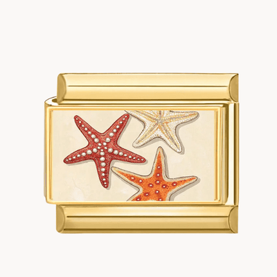 Charm italien Charm étoiles de mer orange : deux étoiles de mer orange et beige sur fond crème